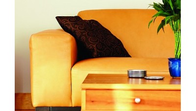 Furniture and Upholstery